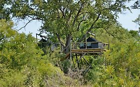 Rhino Walking Safaris