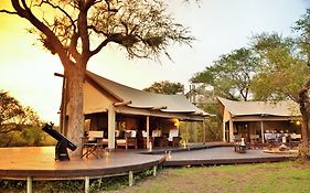 Rhino Walking Safaris